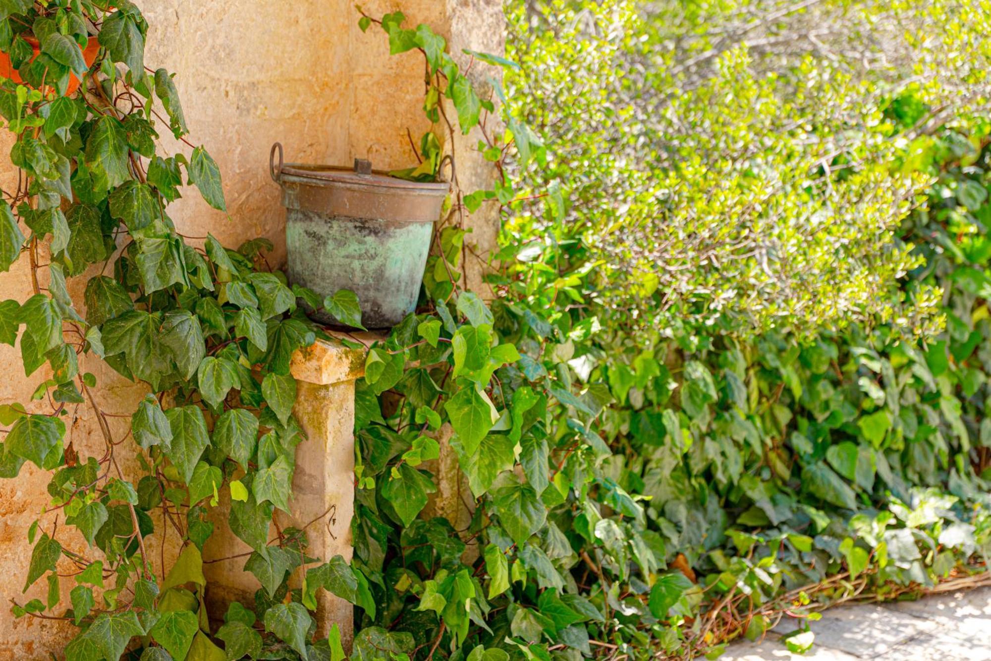 Casa Del Sud Ostuni